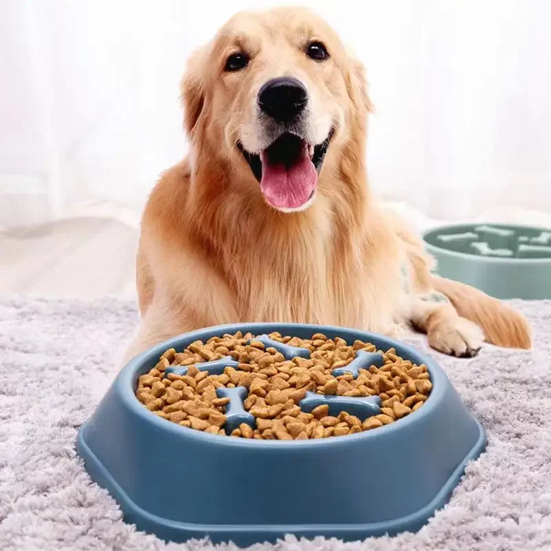Slow Feeder Dog Bowl — Anti-Choke Design