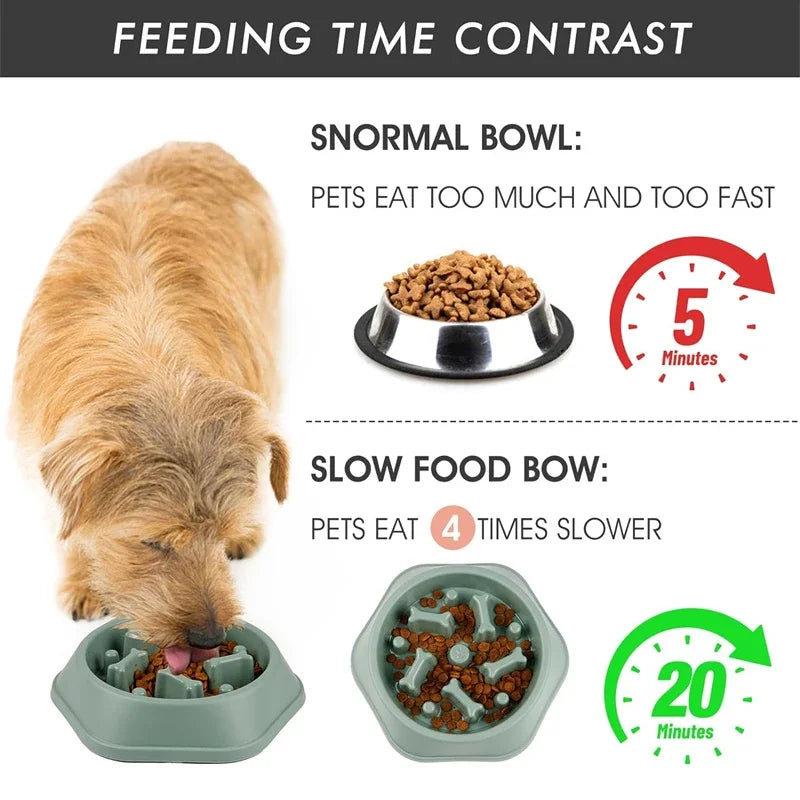 Slow Feeder Dog Bowl — Anti-Choke Design